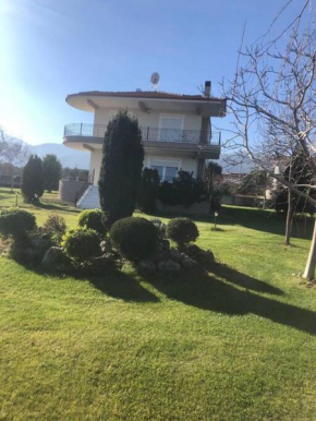 Luxury villa in leptokarya pierias